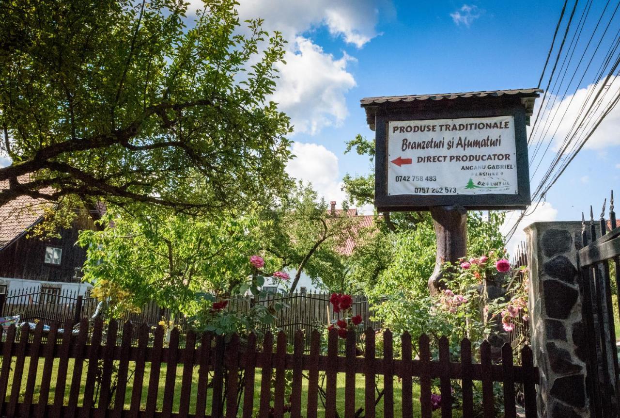 Bradutul De La Munte Villa Bran  Exterior photo